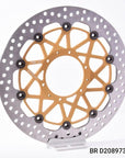 D208973745