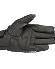Celer V2 Gloves