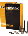 INLET VALVE KIT PSYCHIC MX INCLUDES 2 VALVES, 2 SPRINGS, RETAINERS & SEATS