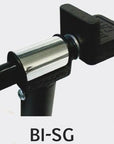 bi-sg