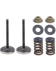 INLET VALVE KIT PSYCHIC MX INCLUDES 2 VALVES, 2 SPRINGS, RETAINERS & SEATS