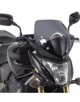 GS A309 Givi Screen