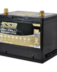 AGM BATTERY DEEP CYCLE DUAL PURPOSE 12V 60AH 600CCA BY SSB ULTRA HIGH PERFORMANCE
