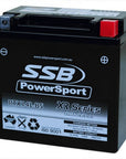 MOTORCYCLE AND POWERSPORTS BATTERY (RTX14L-BS) AGM 12V 12AH 290CCA BY SSB HIGH PERFORMANCE