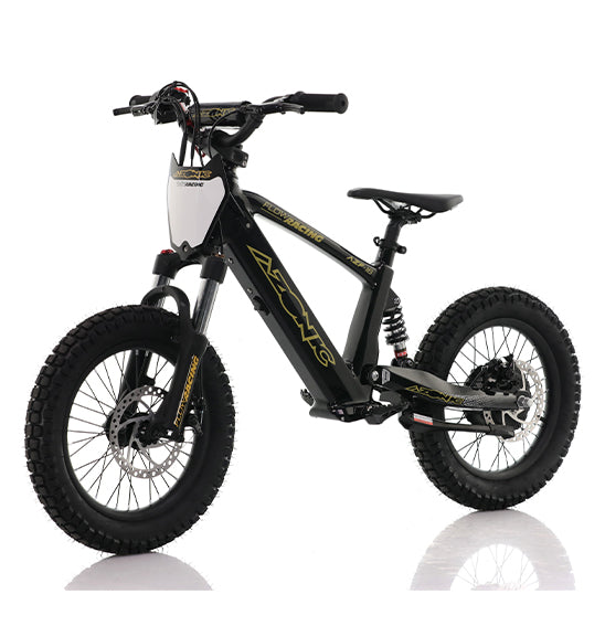 AZONIC Flow 16 (AZF-16) - Electric Balance Bike – CMG Motorcycles