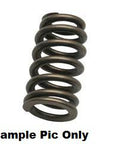 EXHAUST VALVE SPRING PSYCHIC HEAVY DUTY
