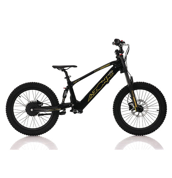 AZONIC Flow 20 (AZF-20) - Electric Balance Bike – CMG Motorcycles