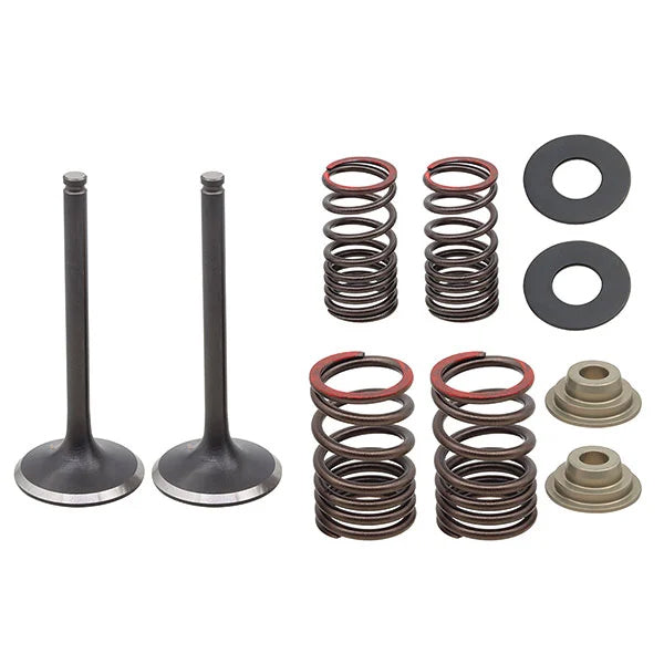 EXHAUST VALVE KIT PSYCHIC MX INCLUDES 2 VALVES, 2 SPRINGS, RETAINERS &amp; SEATS