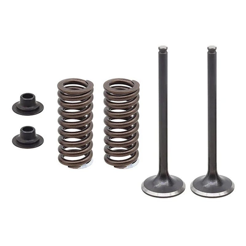 EXHAUST VALVE KIT PSYCHIC MX INCLUDES 2 VALVES, 2 SPRINGS, RETAINERS &amp; SEATS