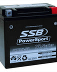 MOTORCYCLE AND POWERSPORTS BATTERY (RTX14L-BS) AGM 12V 12AH 290CCA BY SSB HIGH PERFORMANCE