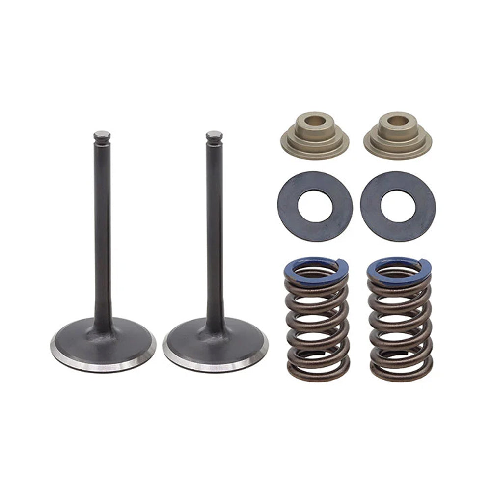 INLET VALVE KIT PSYCHIC MX INCLUDES 2 VALVES, 2 SPRINGS, RETAINERS &amp; SEATS