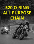 520-ORING_2