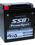 MOTORCYCLE AND POWERSPORTS BATTERY (YTX16-BS) AGM 12V 14AH 340CCA BY SSB HIGH PERFORMANCE