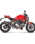 Ducati Monster 821/1200 17-19